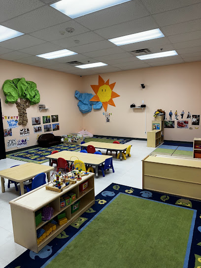 Rise And Shine Academy Llc