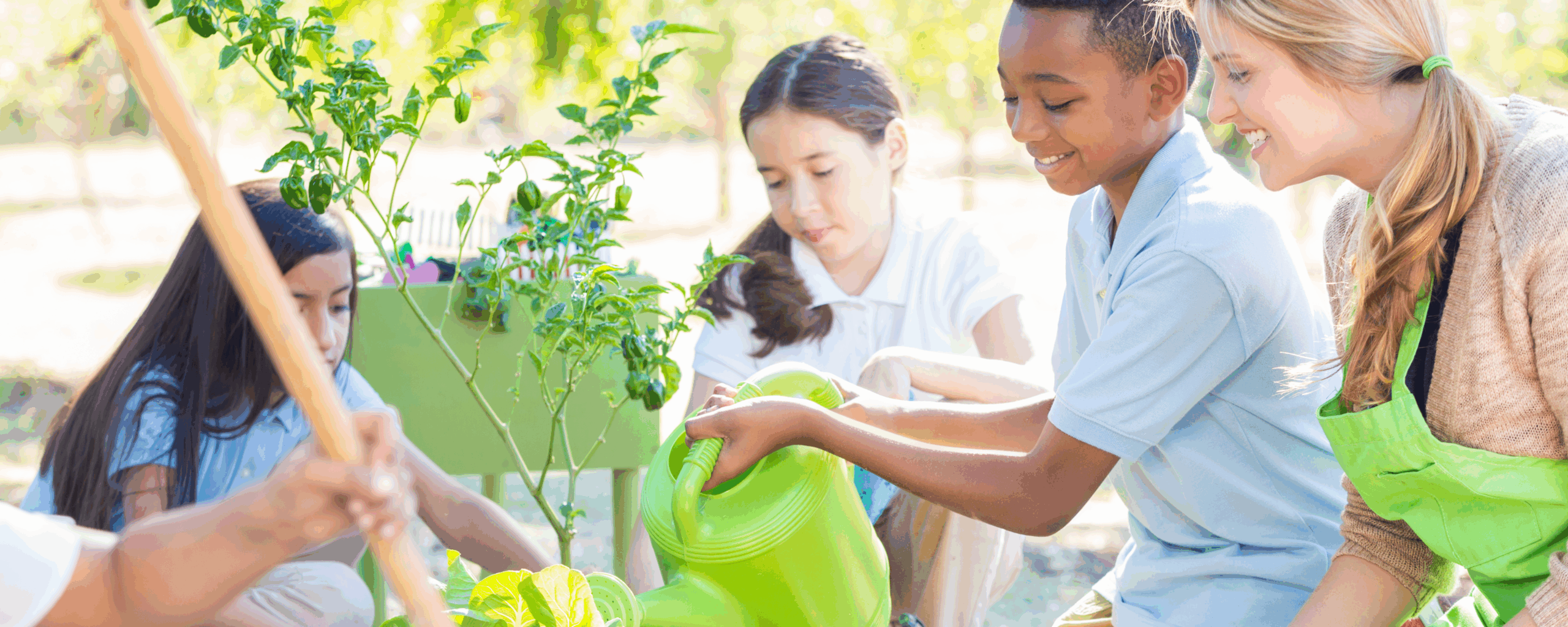 Innovation Learning - Candeo Schools
