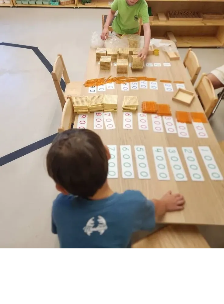 Montessori Children's Academy
