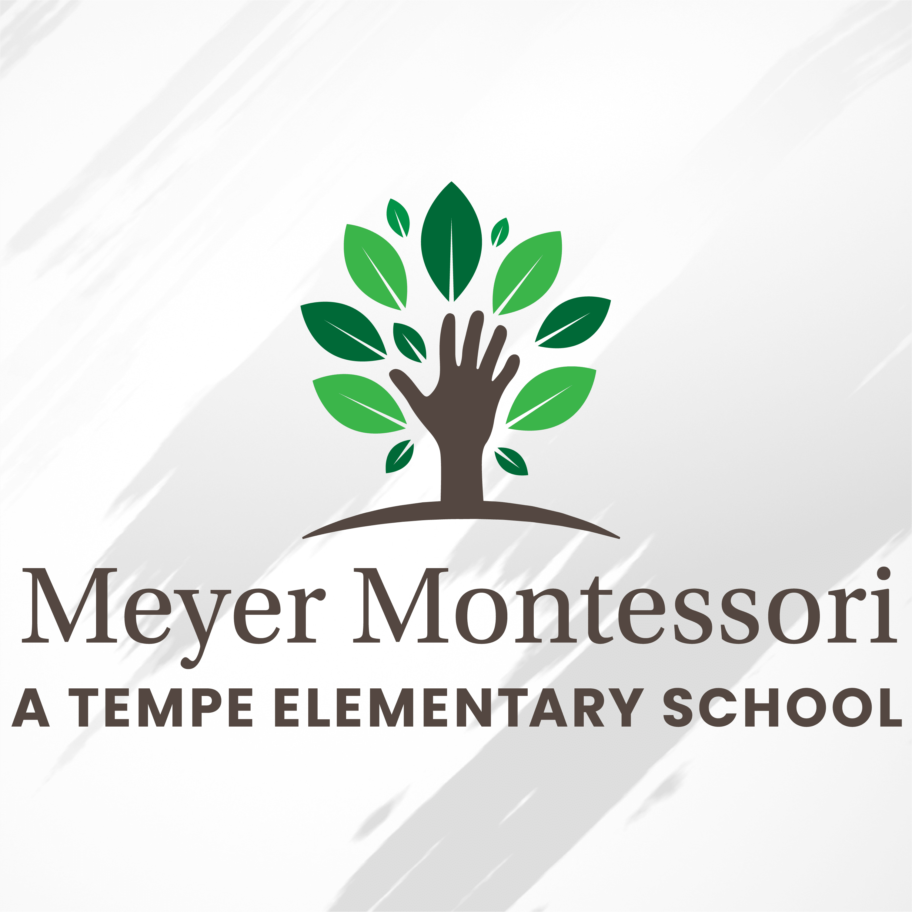 T.E.S.D.#3 - Meyer Montessori