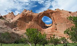 Window Rock Preschool