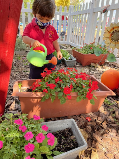 Little Wonders Learning Academy & Preschool