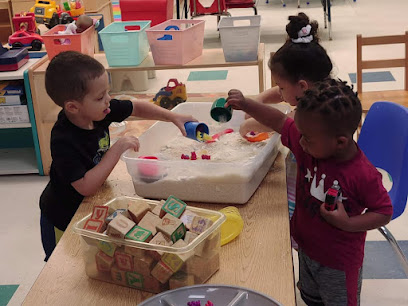 Little Hoots Academy LLC