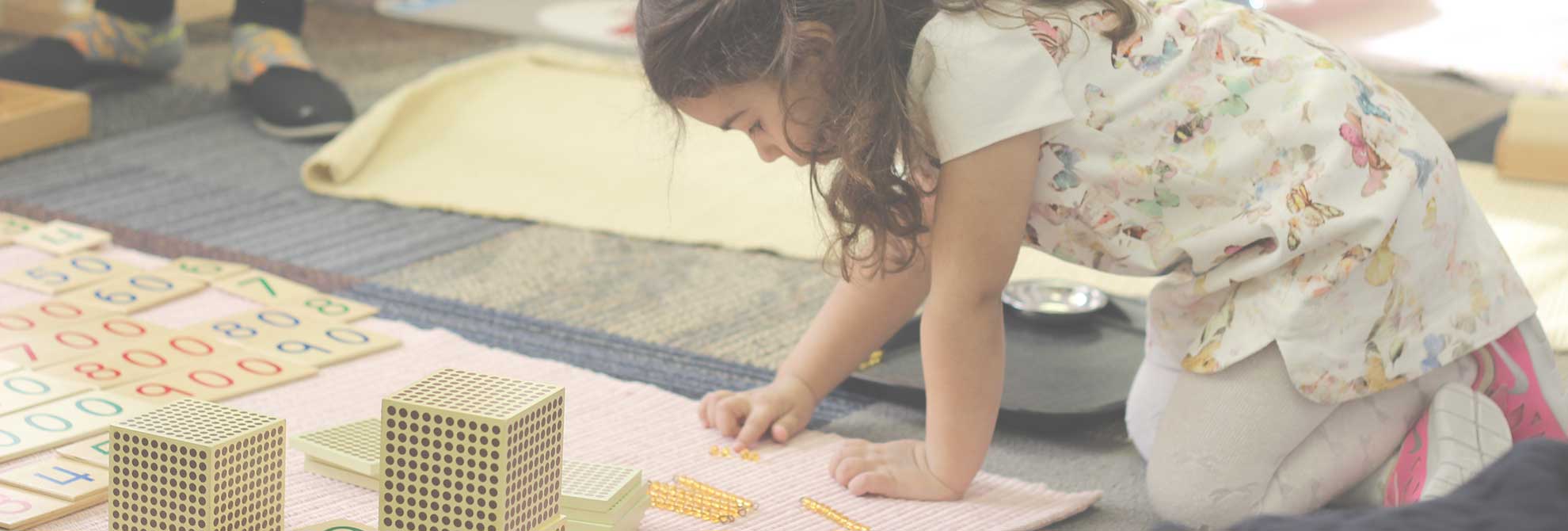 Belleview Montessori School