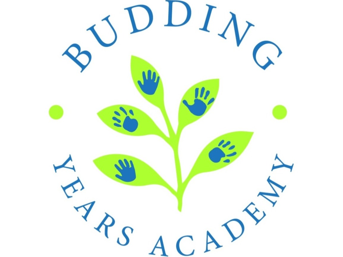 Budding Years Academy, Llc