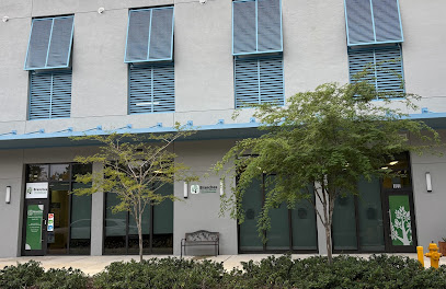 Branches South Miami