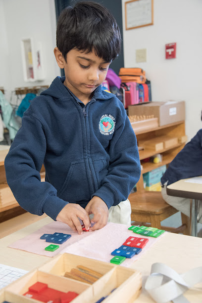 Coral Reef Montessori Academy Inc