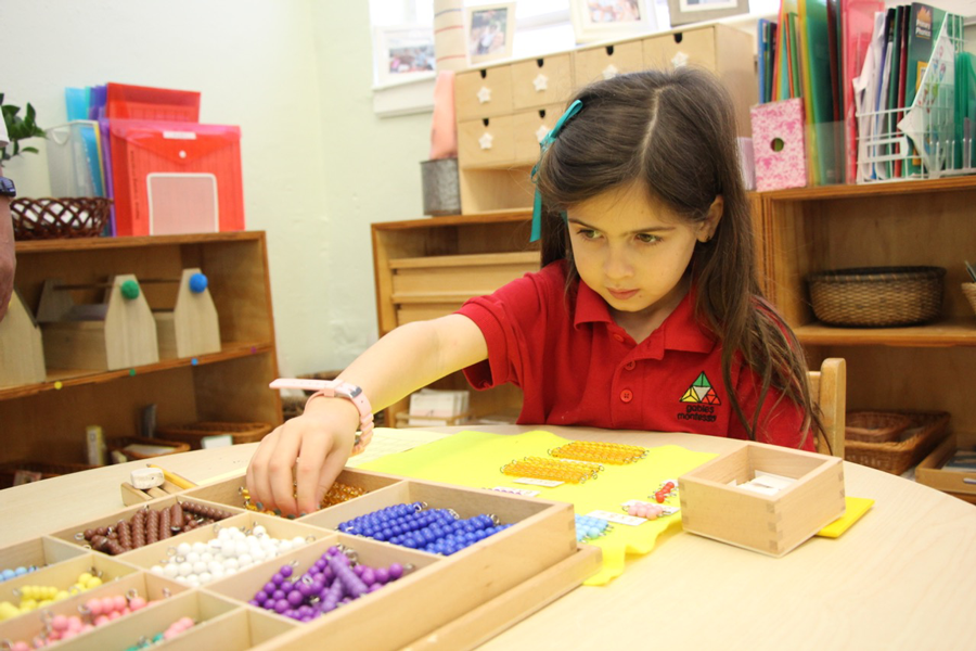 Gables Montessori School