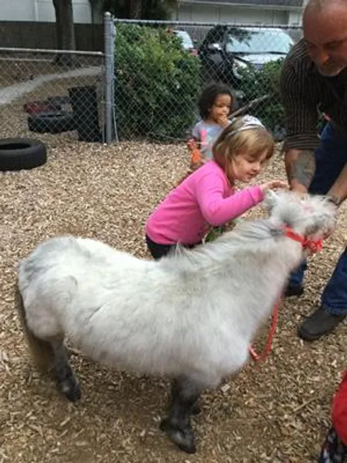 Harbor Preschool Academy - Licensed Daycare in Orlando, FL