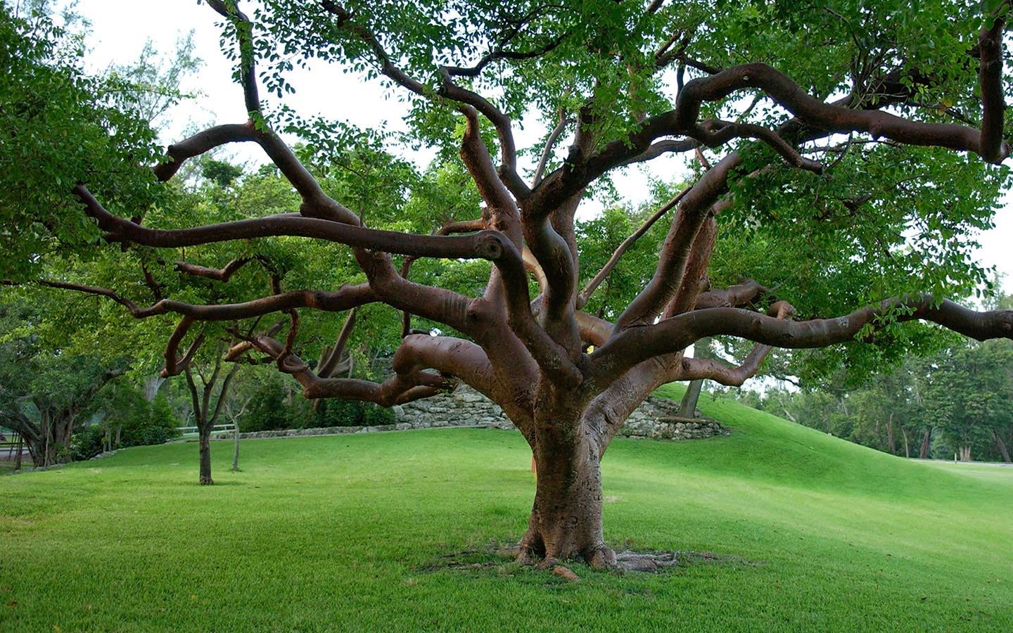 Miami-Dade County Parks, Recreation And Open Spaces - Little River Park