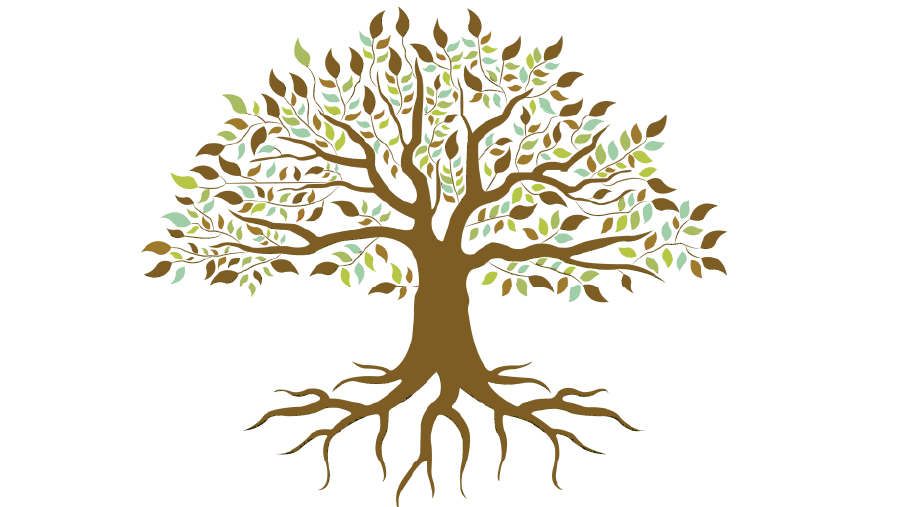 TREEHOUSE ACADEMY OF FERNANDINA BEACH, LLC.