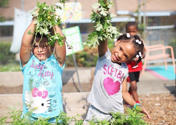Lillie's Lil' Lamb Daycare and Learning Center - Licensed Daycare in Ellenwood, GA