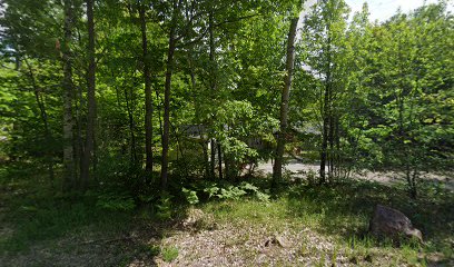 Discovery Central Forest School - Licensed Daycare in Marquette, MI