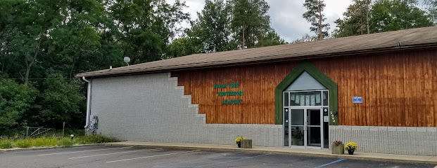 Maple Tree Montessori Academy LLC - Licensed Daycare in Brighton, MI