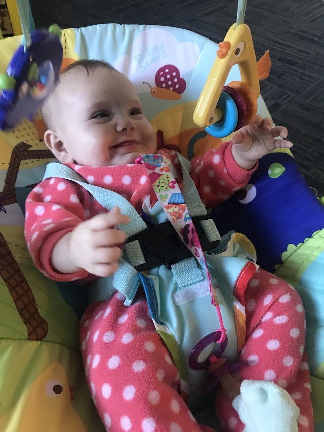Little Vikings Early Childhood Center - Licensed Daycare in Potterville, MI