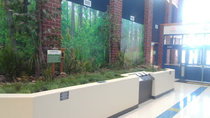 PINEVILLE ELEMENTARY ASEP