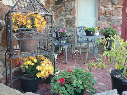 MRS. PEG'S CARE FOR GOD'S PRECIOUS GIFTS