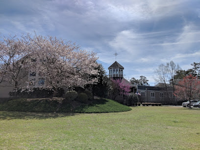 THE ALL SAINTS SCHOOL