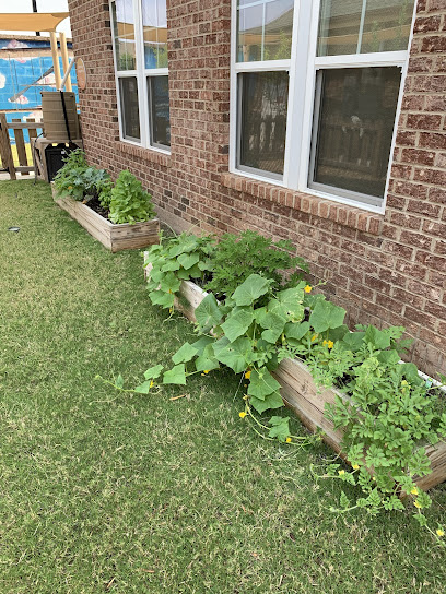 OAK VILLAGE ACADEMY