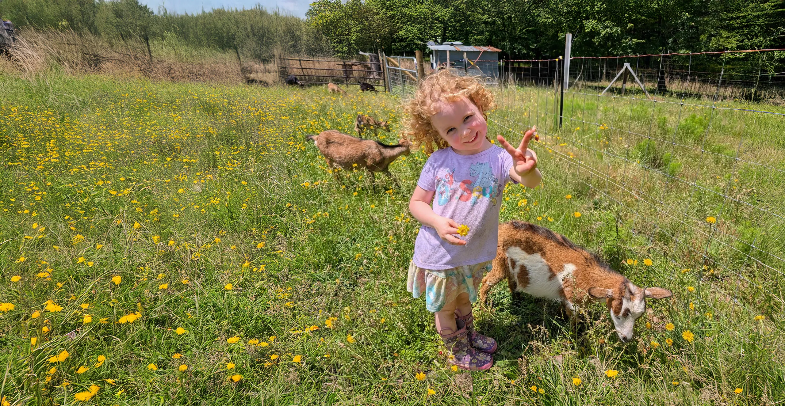 Academy Ranch - Licensed Daycare in Carthage, NC