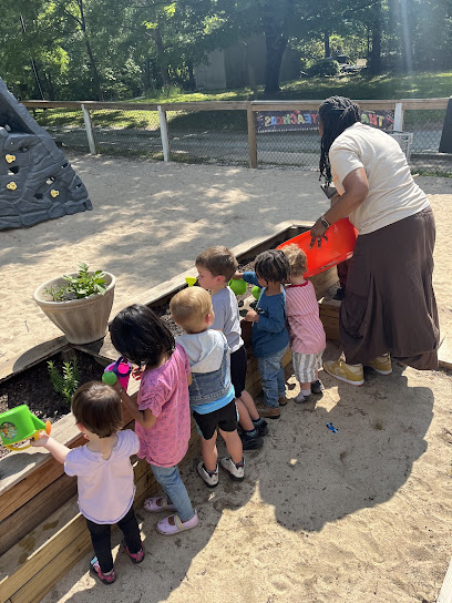 BLOSSOMS DAY CARE