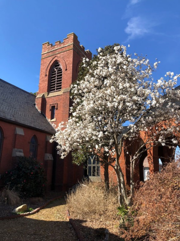 GOOD SHEPHERD DAY SCHOOL