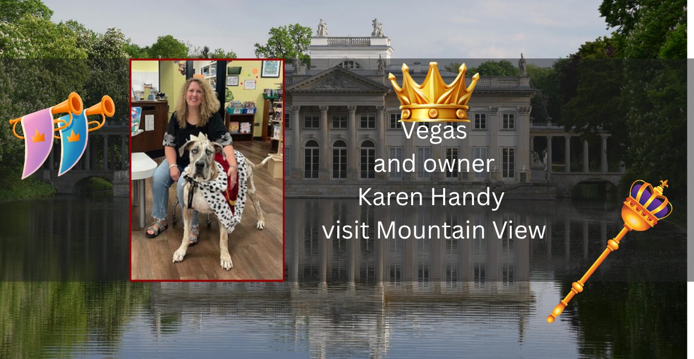 MOUNTAIN VIEW ELEMENTARY PRE KINDERGARTEN