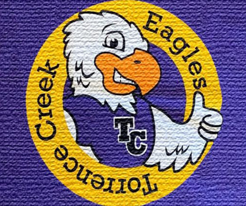TORRENCE CREEK ELEMENTARY ASEP