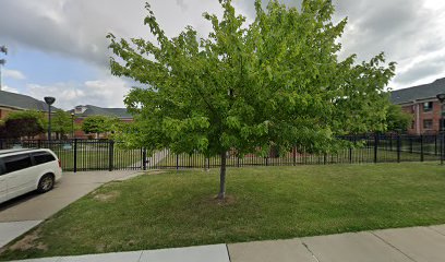 Lighthouse Center, Inc