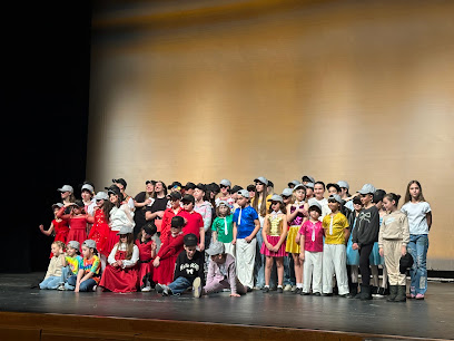 SHOSTAKOVICH MUSIC, ART AND SPORT SCHOOL, INC