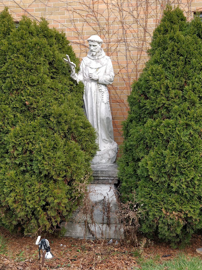 ST FRANCIS OF ASSISI SCHOOL