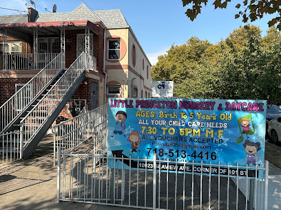 LITTLE PRINCETON NURSERY AND DAY CARE CENTER LLC
