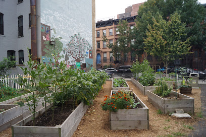 CAMP HARLEM GROWN