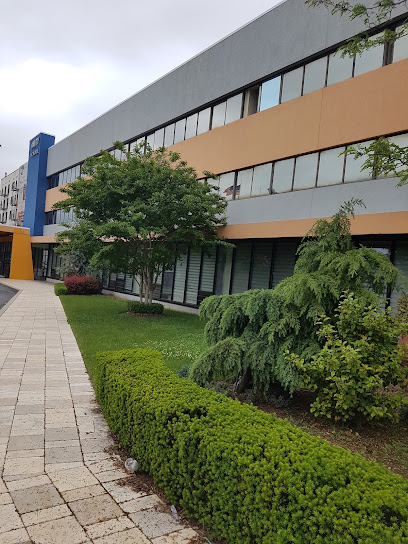 Brooklyn Amity School