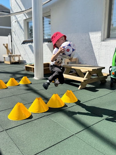 LITTLE MONTESSORI MINDS L.L.C.