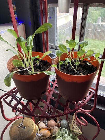 INNOVATION GARDEN LLC