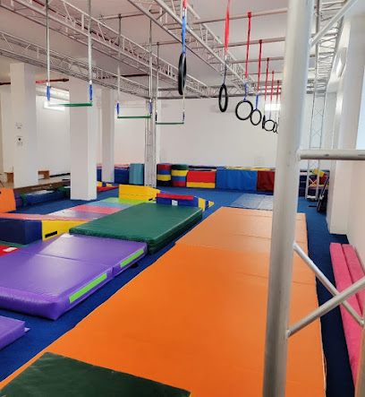 NINJA GYMNASTICS FACTORY LLC