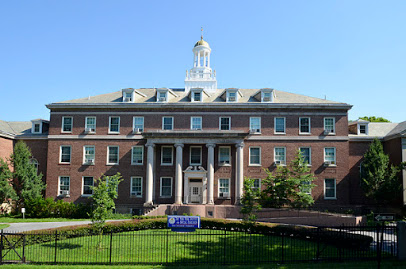 THE NEW YORK INSTITUTE FOR SPECIAL EDUCATION