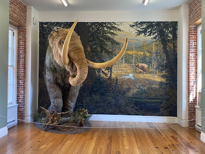 Staten Island Musuem