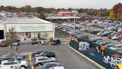 Blooming Buds Learning Center - Licensed Daycare in Syosset, NY