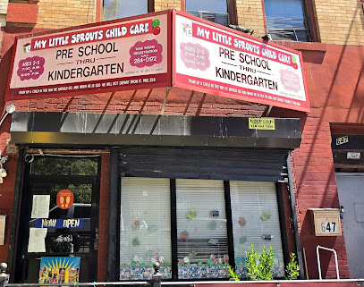MY LITTLE SPROUTS CHILD CARE L.L.C.