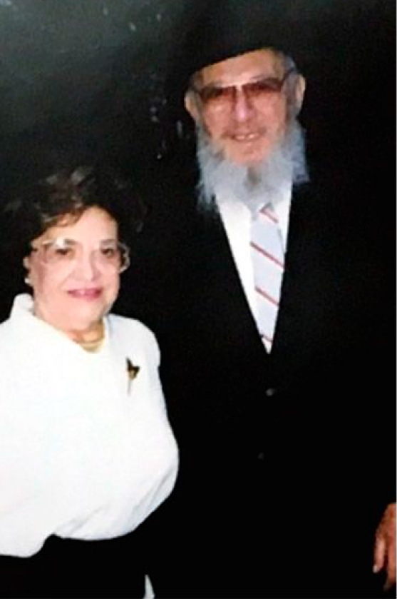 Hebrew Academy For Special Children, Inc.