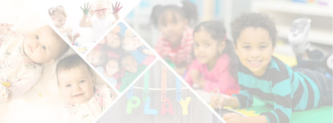 WILD ROOTS PRESCHOOL AND DAYCARE