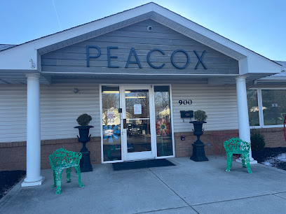 PEACOX CHILD CARE II