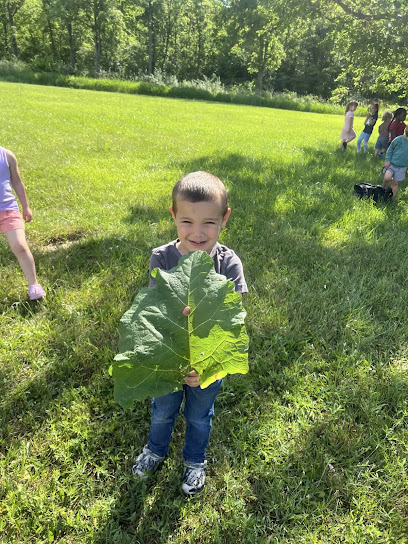 IMAGINATIVE BEGINNINGS EARLY LEARNING CENTER LLC - Licensed Daycare in Northwood, OH