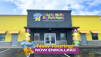 THE LEARNING EXPERIENCE