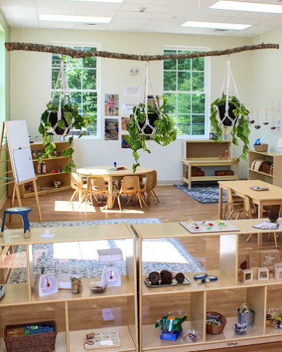 IVYBROOK ACADEMY