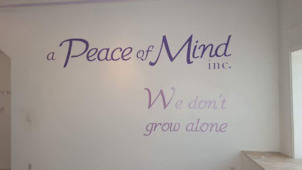 A PEACE OF MIND INC