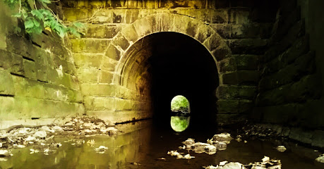 Ambridge