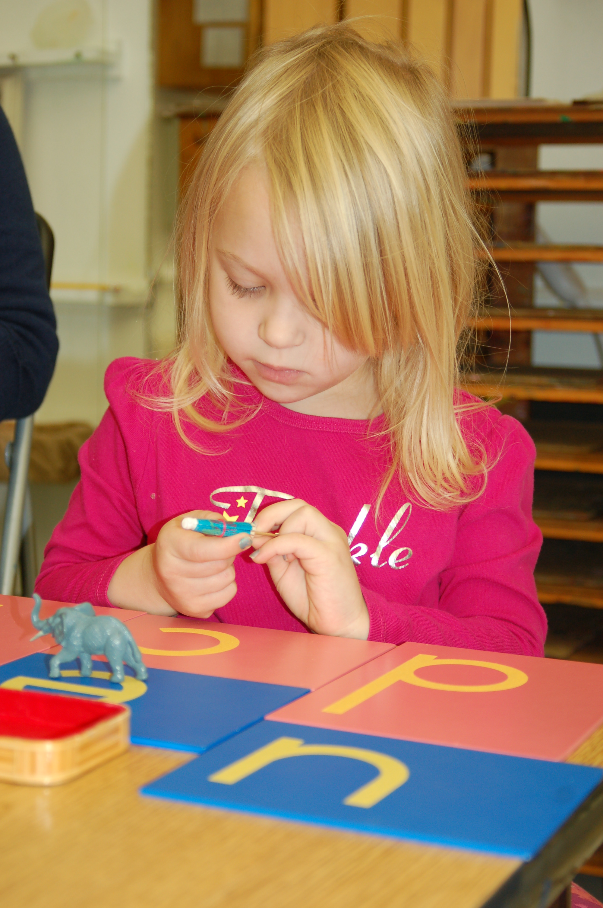 WESTERN PA MONTESSORI SCHOOL - Licensed Daycare in Allison Park, PA